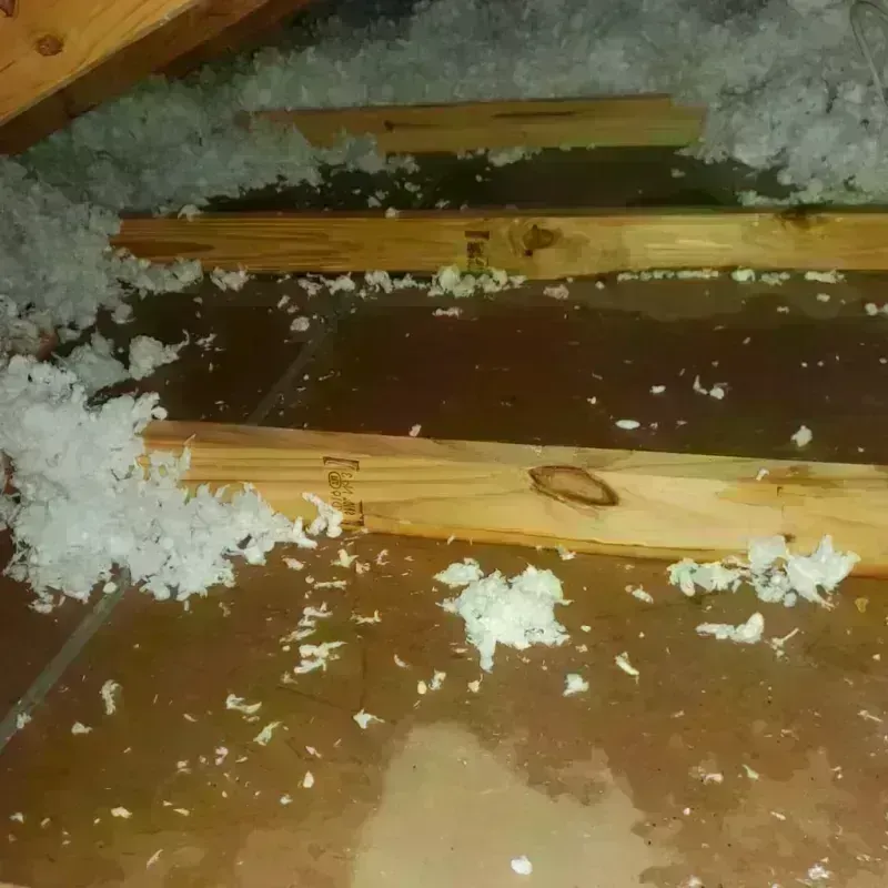 Attic Water Damage in Bellevue, KY